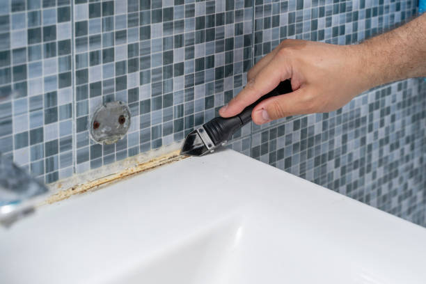 Best Black Mold Removal  in Westover, WV