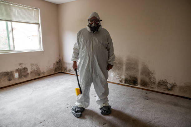 Best Residential Mold Removal  in Westover, WV